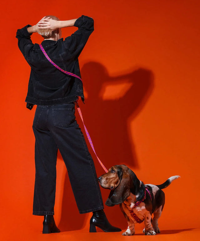 HOT DOGGIES Hundeleine Hands-Free, Poppy Sunrise Hundeleine