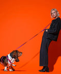HOT DOGGIES Hundeleine Hands-Free, Poppy Sunrise Hundeleine