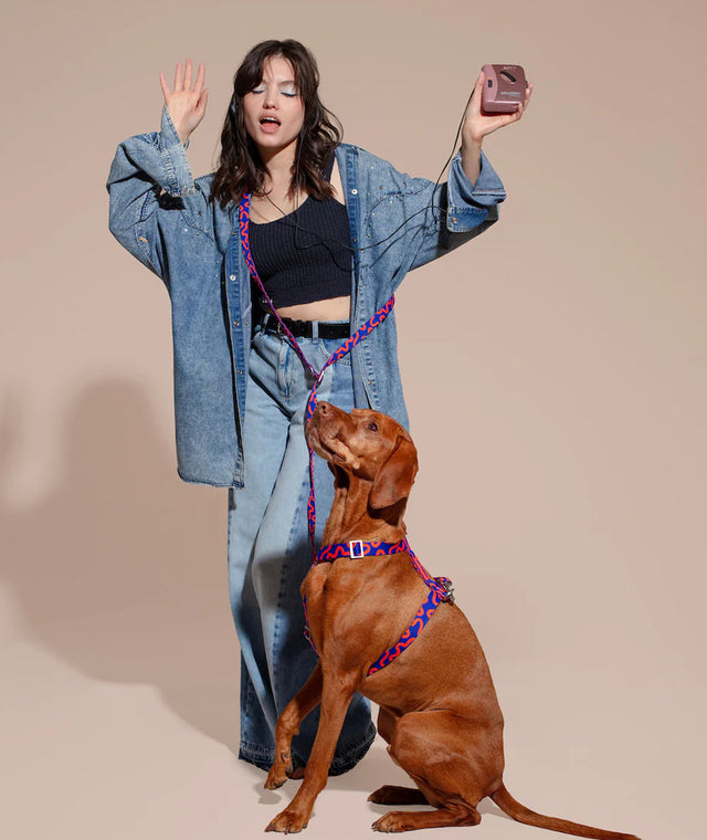 HOT DOGGIES Hundeleine Hands-Free, Rocky Electric Hundeleine