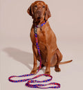 HOT DOGGIES Hundeleine Hands-Free, Rocky Electric Hundeleine