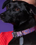 HOT DOGGIES Hundehalsband, Lily Coral Hundehalsband