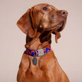 HOT DOGGIES Hundehalsband, Rocky Electric Hundehalsband