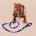 HOT DOGGIES Hundeleine Klassik, Lola Groove Hundeleine