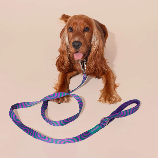 HOT DOGGIES Hundeleine Klassik, Lola Groove Hundeleine