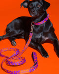 HOT DOGGIES Hundeleine Klassik, Poppy Sunrise Hundeleine
