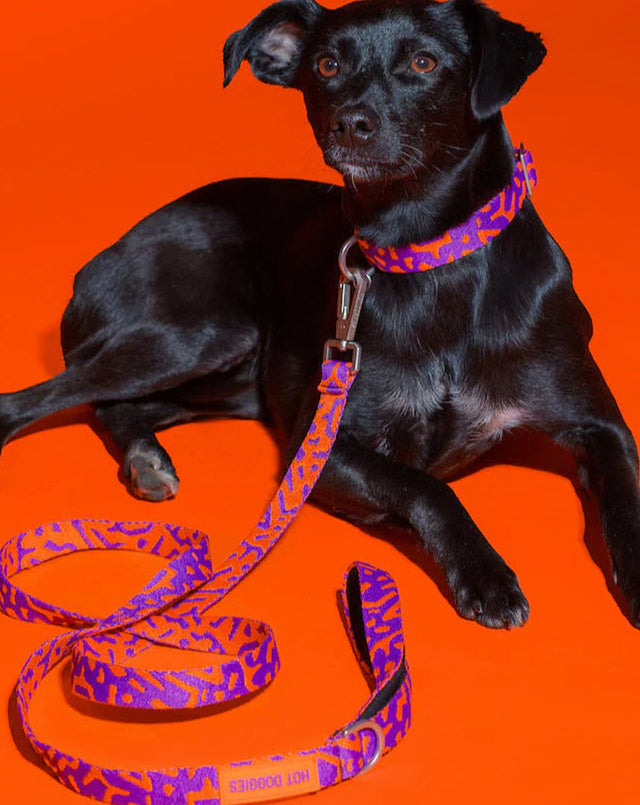 HOT DOGGIES Hundeleine Klassik, Poppy Sunrise Hundeleine