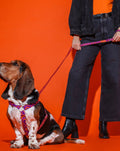 HOT DOGGIES Hundeleine Klassik, Poppy Sunrise Hundeleine