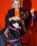HOT DOGGIES Hundeleine Klassik, Poppy Sunrise Hundeleine