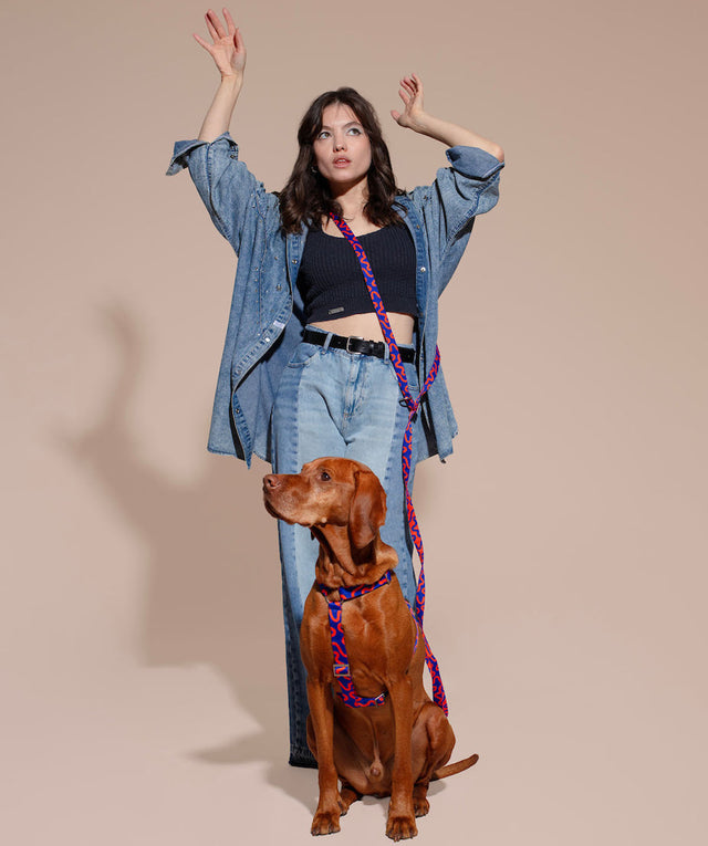 Hundegeschirr, Rocky Electric