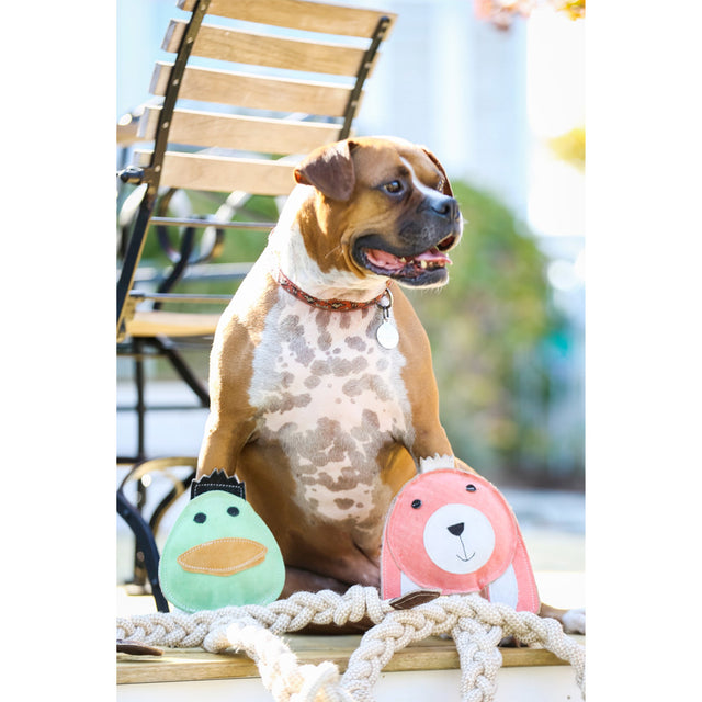 HuggleHounds Hundespielzeug Naturseil, Dilly Duck Knottie Tauspielzeug