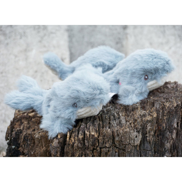 HuggleHounds Hundespielzeug Knottie Mobie the Whale Stoffspielzeug Wee - X-Small