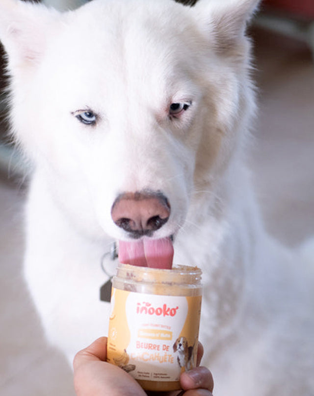 inooko Erdnussbutter Banana n’ Nuts mit Banane und Leinsamen, 300g Hundeleckerli