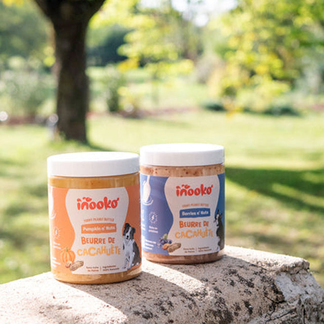 inooko Erdnussbutter Pumpkin n’ Nuts, 300g Hundeleckerli