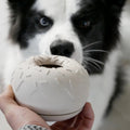 inooko Yoomy Donut, Sand Interaktiv