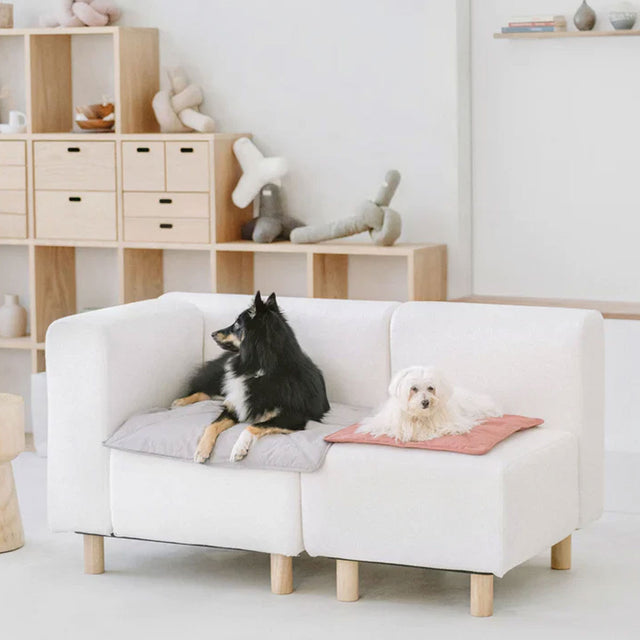 Lambwolf Collective Reisematte ORII, Koala Hundedecke