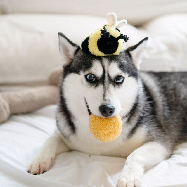 Lambwolf Collective Schnüffelspielzeug BEE POP Interaktiv