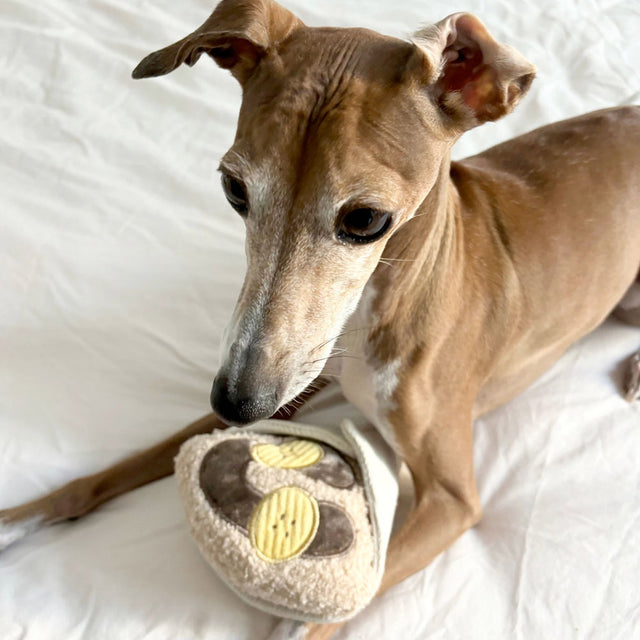 Lambwolf Collective Schnüffelspielzeug CRÊPE Interaktiv