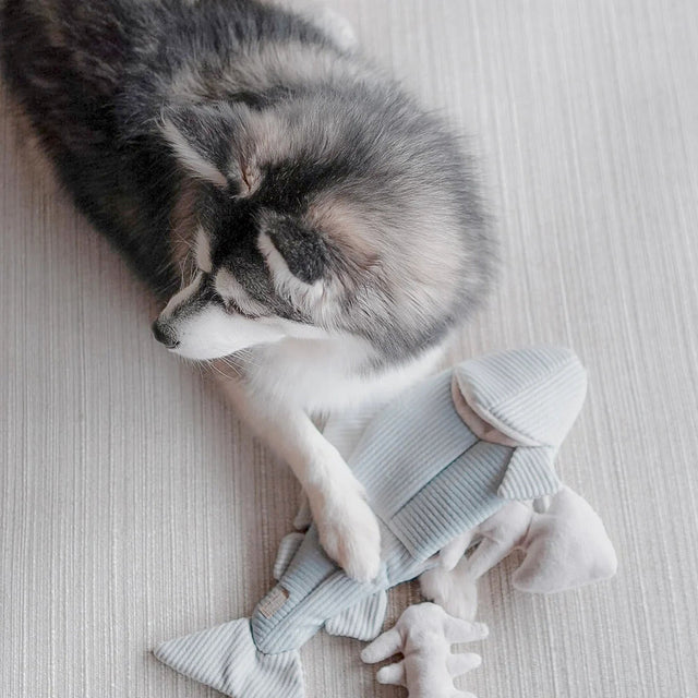 Lambwolf Collective Schnüffelspielzeug FORELLE Interaktiv