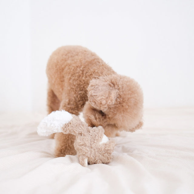 Lambwolf Collective Schnüffelspielzeug FOX POP Interaktiv