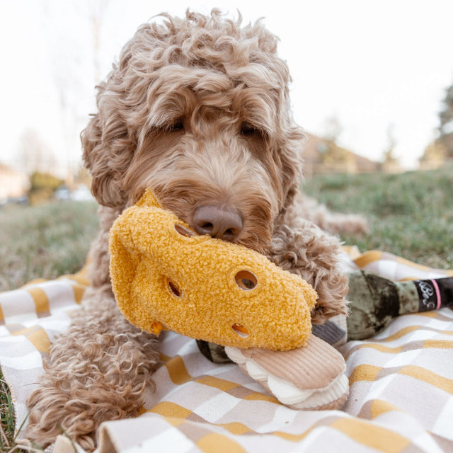 Lambwolf Collective Schnüffelspielzeug FROMAGE Interaktiv