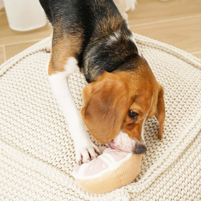 Lambwolf Collective Schnüffelspielzeug GRAPEFRUIT Interaktiv