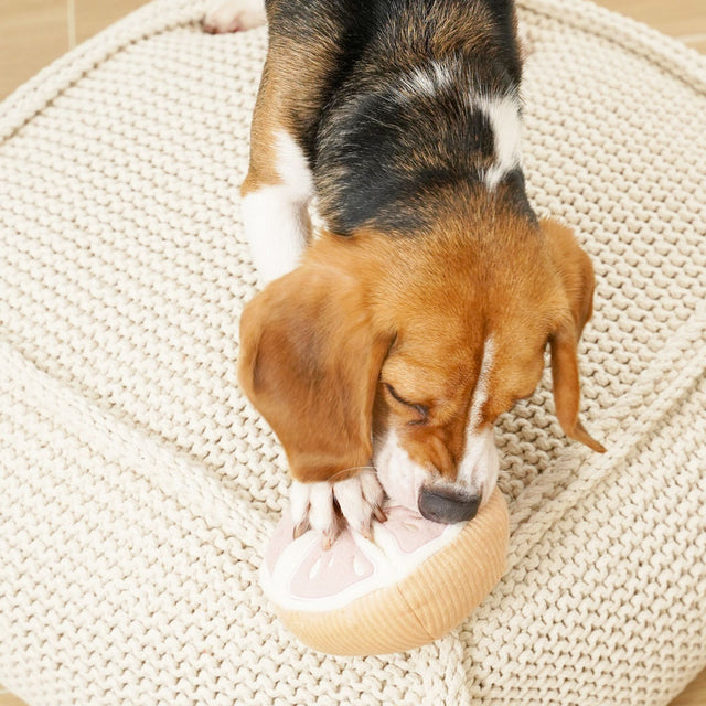 Lambwolf Collective Schnüffelspielzeug GRAPEFRUIT Interaktiv