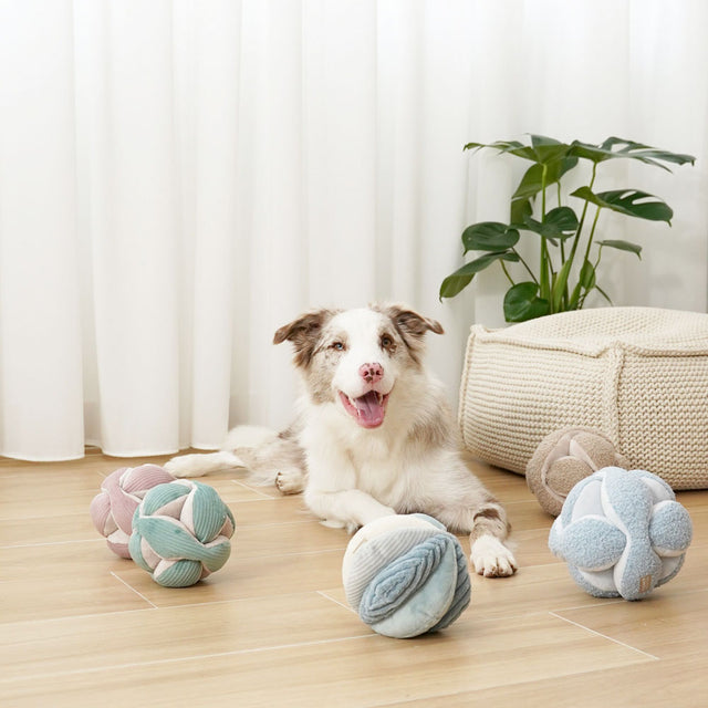 Lambwolf Collective Schnüffelspielzeug MONTI, Baby Blue Interaktiv