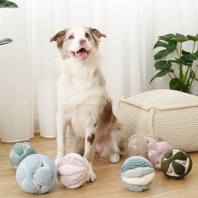 Lambwolf Collective Schnüffelspielzeug MONTI, Pinien-Grün Interaktiv