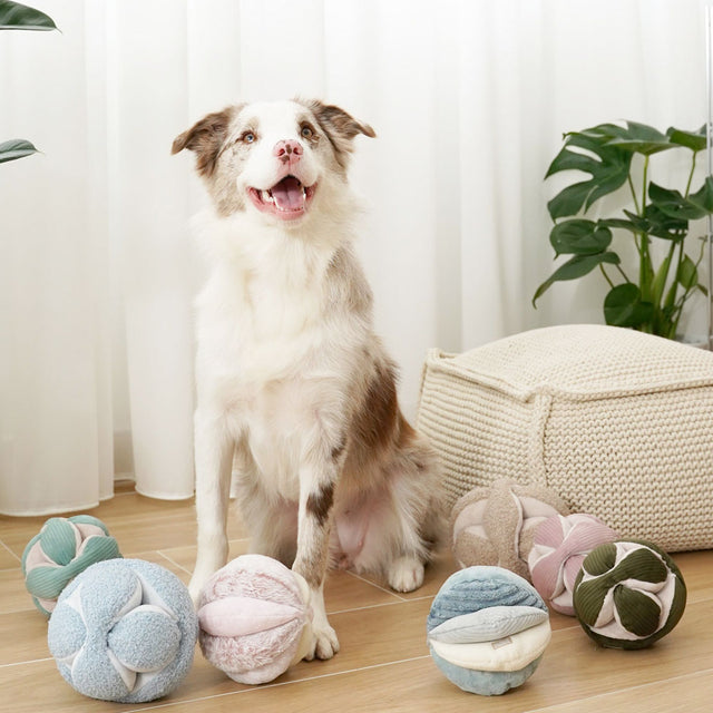 Lambwolf Collective Schnüffelspielzeug MONTI, Hafer Interaktiv