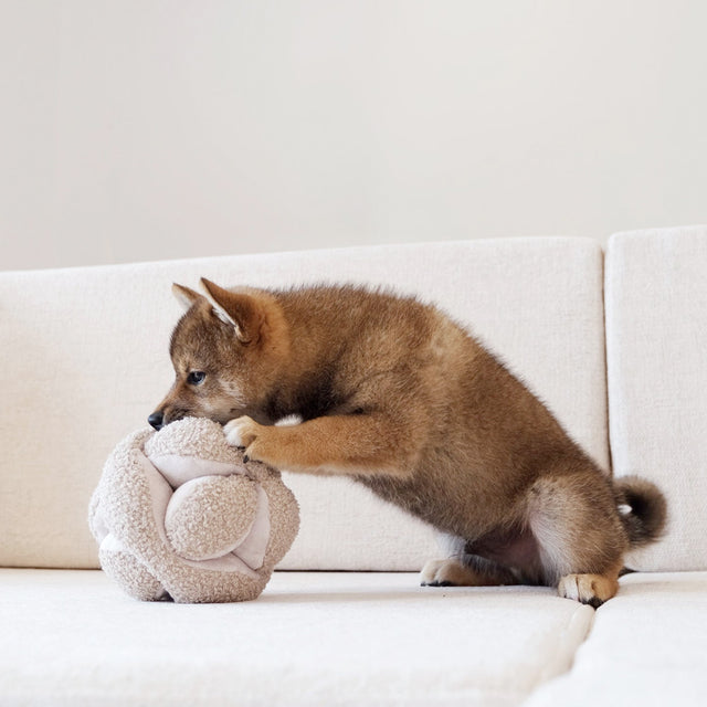 Lambwolf Collective Schnüffelspielzeug MONTI, Hafer Interaktiv