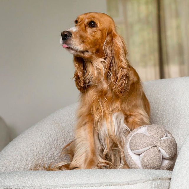 Lambwolf Collective Schnüffelspielzeug MONTI, Hafer Interaktiv