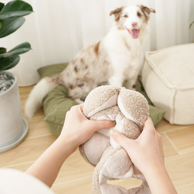 Lambwolf Collective Schnüffelspielzeug MONTI, Hafer Interaktiv