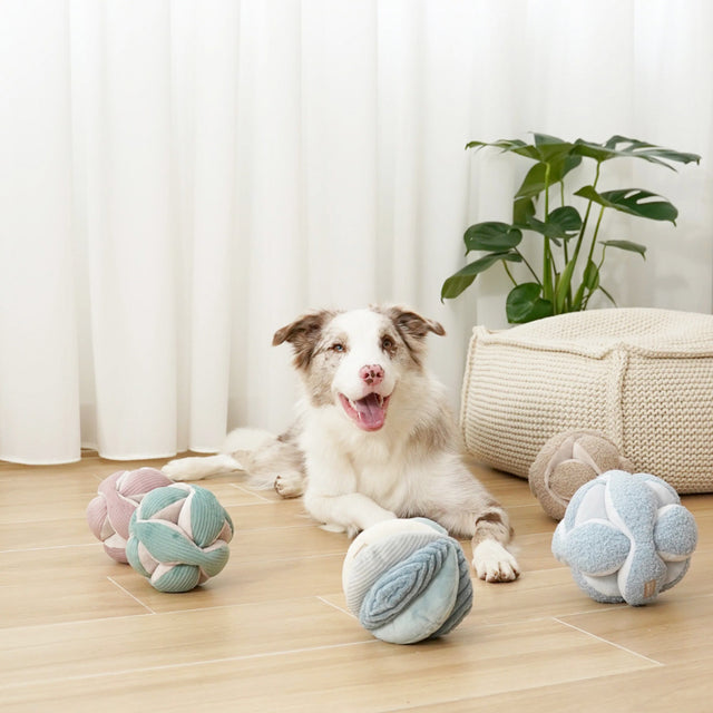 Lambwolf Collective Schnüffelspielzeug MONTI, Mint Interaktiv