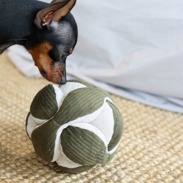 Lambwolf Collective Schnüffelspielzeug MONTI, Pinien-Grün Interaktiv