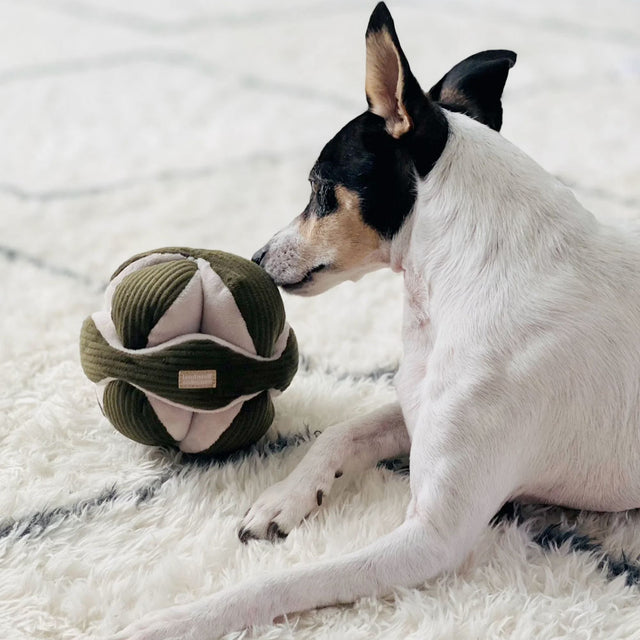 Lambwolf Collective Schnüffelspielzeug MONTI, Pinien-Grün Interaktiv