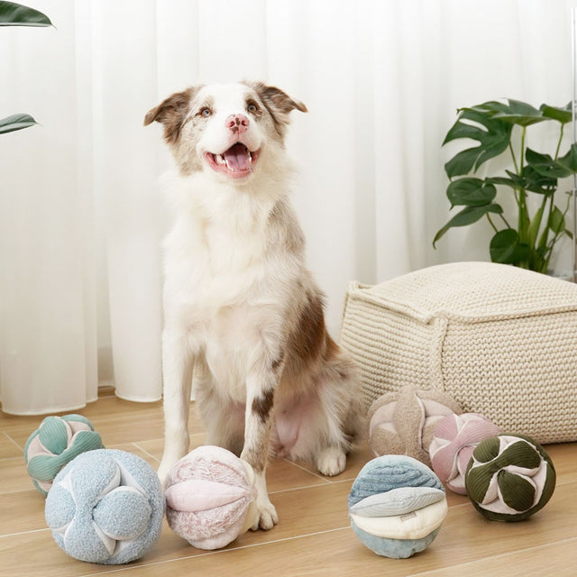 Lambwolf Collective Schnüffelspielzeug MONTI, Purple Interaktiv