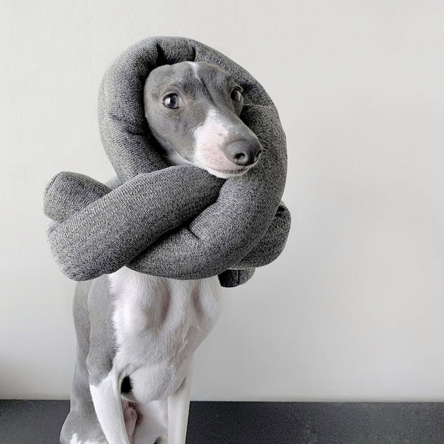 Lambwolf Collective Schnüffelspielzeug NOU Charcoal, mit Knistereffekt Interaktiv