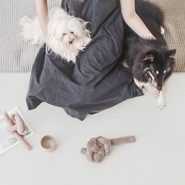 Lambwolf Collective Schnüffelspielzeug NOU Taupe Interaktiv