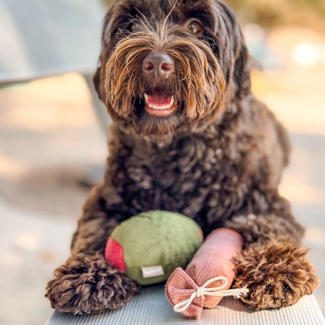 Lambwolf Collective Schnüffelspielzeug OLIVE + SALAMI Interaktiv