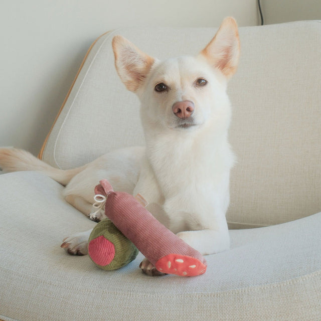 Lambwolf Collective Schnüffelspielzeug OLIVE + SALAMI Interaktiv