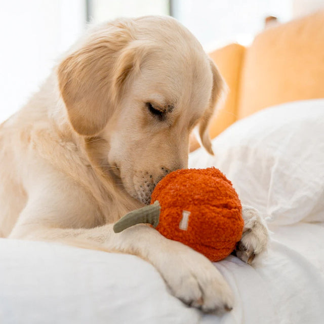 Lambwolf Collective Schnüffelspielzeug PEPPER Interaktiv