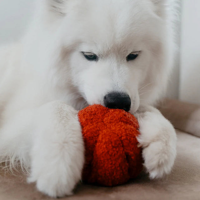 Lambwolf Collective Schnüffelspielzeug PEPPER Interaktiv