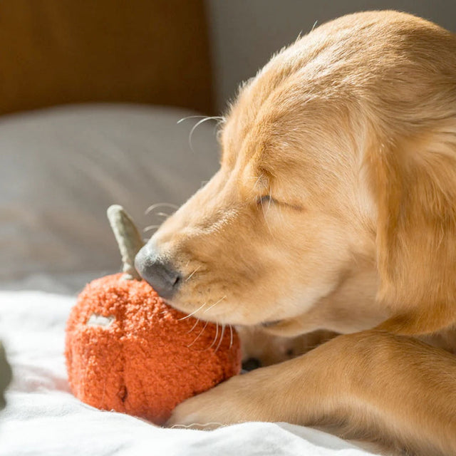 Lambwolf Collective Schnüffelspielzeug PEPPER Interaktiv