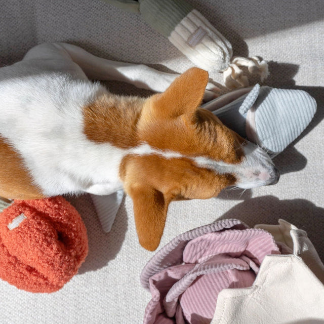 Lambwolf Collective Schnüffelspielzeug PEPPER Interaktiv