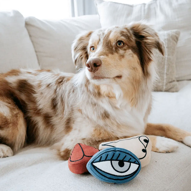 Lambwolf Collective Schnüffelspielzeug PICASSO Interaktiv