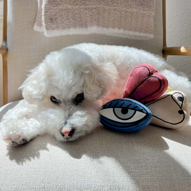 Lambwolf Collective Schnüffelspielzeug PICASSO Interaktiv