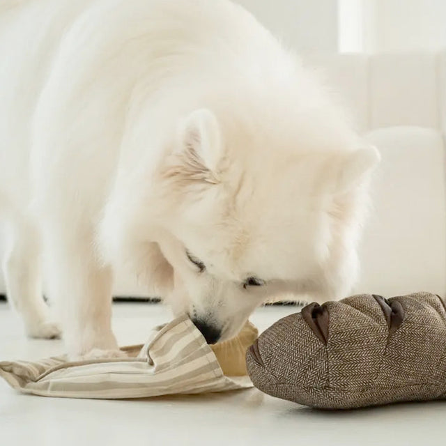 Lambwolf Collective Schnüffelspielzeug RYE Interaktiv