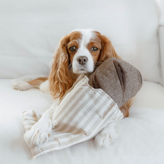 Lambwolf Collective Schnüffelspielzeug RYE Interaktiv