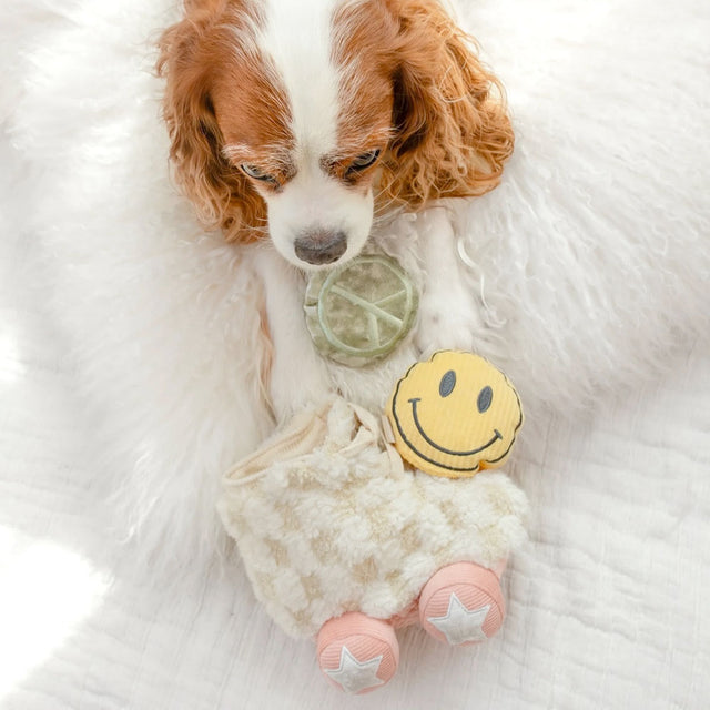 Lambwolf Collective Schnüffelspielzeug ROLLER SKATE Interaktiv