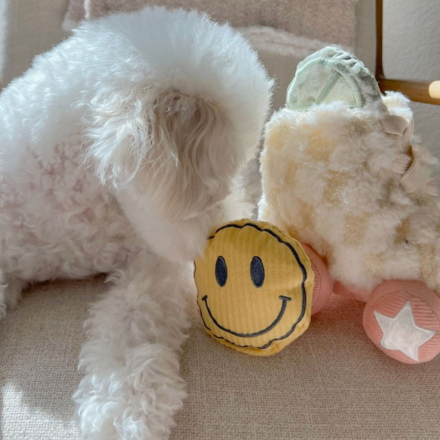 Lambwolf Collective Schnüffelspielzeug ROLLER SKATE Interaktiv